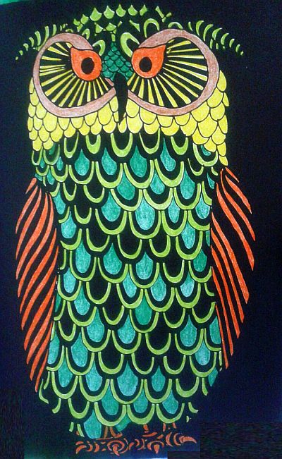 owl-colour-20160221-resized